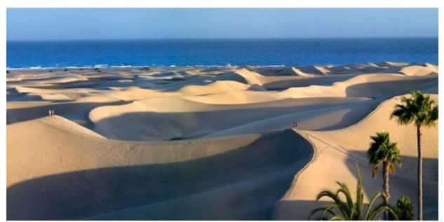 Bungalow Playmar Playa del Inglés Værelse billede
