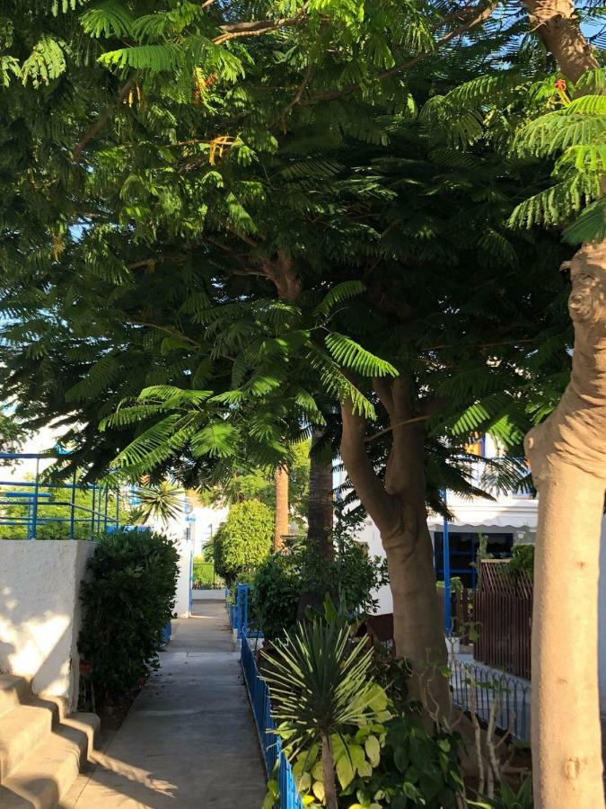 Bungalow Playmar Playa del Inglés Eksteriør billede